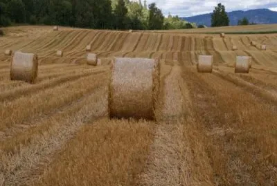 sept16 jigsaw puzzle