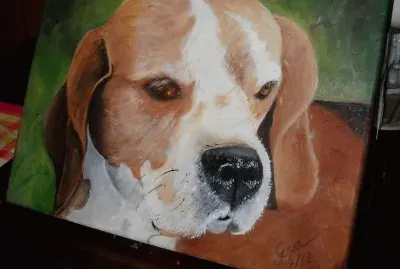 Rocco
