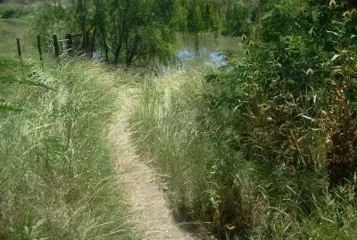 RÃ­o PehuajÃ³. Entre RÃ­os. Argentina