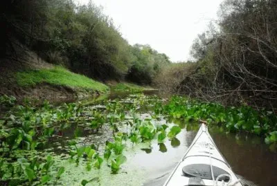 RÃ­o MocoretÃ¡. Corrientes. Argentina jigsaw puzzle