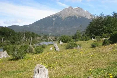 PN Tierra del Fuego. Argentina