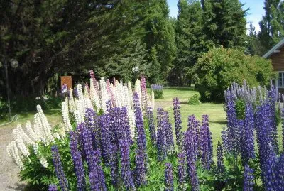 En la Patagonia Argentina