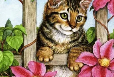 gato