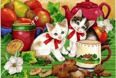 gatos