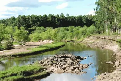 Cerca de ChajarÃ­. Entre RÃ­os. Argentina