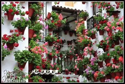 patio florido jigsaw puzzle