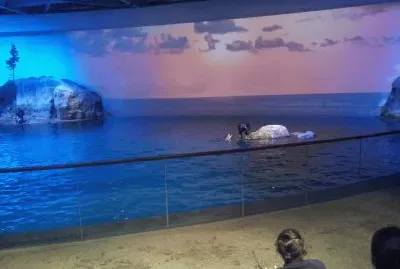 Acuario