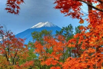 Natureza