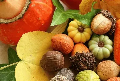 Fall display jigsaw puzzle