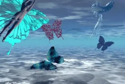 mariposas jigsaw puzzle