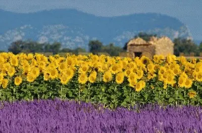 Natureza