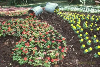 Feliz DÃ­a de la Primavera. (En Montecarlo. Misiones)