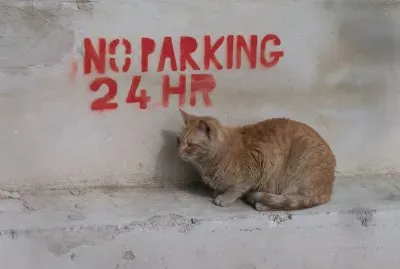 No parking