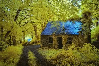 Natureza