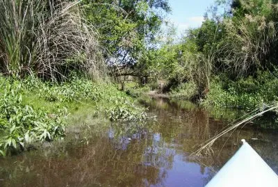 Brazo del RÃ­o MocoretÃ¡. Entre RÃ­os. Argentina