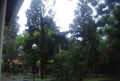 jardÃ­n jigsaw puzzle