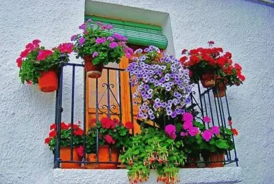 Natureza jigsaw puzzle