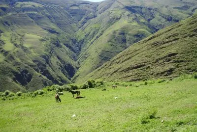 En la Provincia de Salta. Argentina