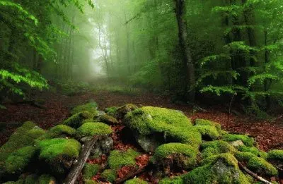 paisajes