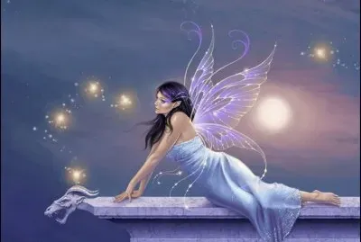 fantasia jigsaw puzzle