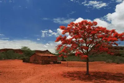 Natureza jigsaw puzzle