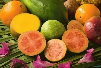 Vitamine C jigsaw puzzle