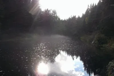 Dawn at the fishing hole