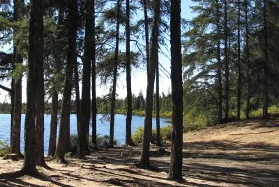 Beautiful little lake near Rogersville NB