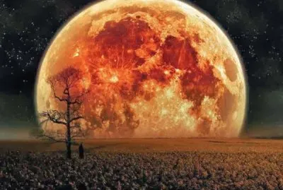 imagen jigsaw puzzle