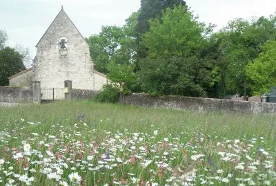 paysage et monuments autour de st pierre de clairac