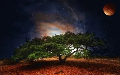 paisaje