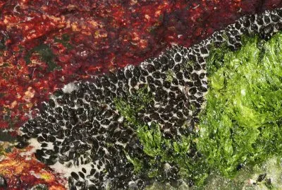 naturaleza