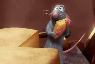 Ratatouille