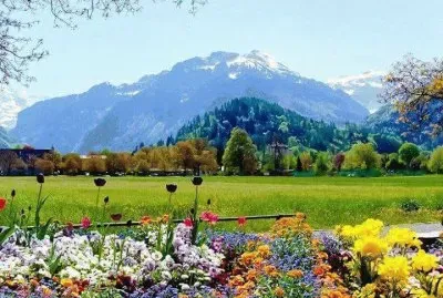 592 jigsaw puzzle