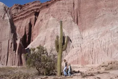 Cerca de Cafayate. Salta. Argentina
