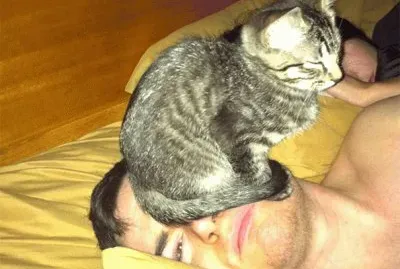 ×—×ª×•×œ ×¢×œ ×”×¤× ×™×