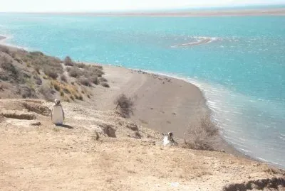 En La PenÃ­nsula de ValdÃ©s. Chubut. Argentina