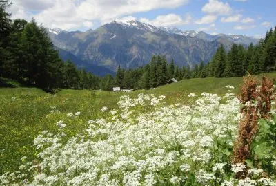 Natur