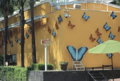 mariposas