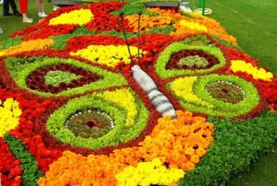 flores
