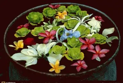 flor