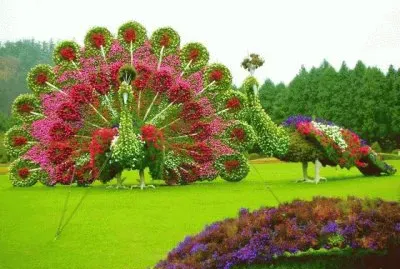 flores