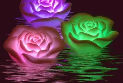 flores
