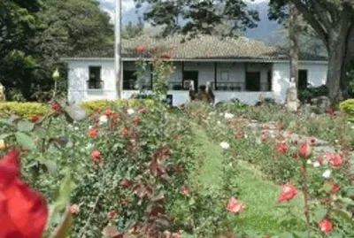 finca