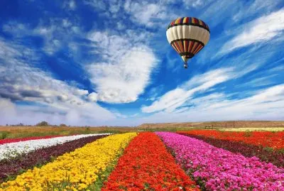 mongolfiera 11 jigsaw puzzle