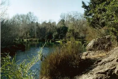 Thea. CÃ³rdoba. Argentina