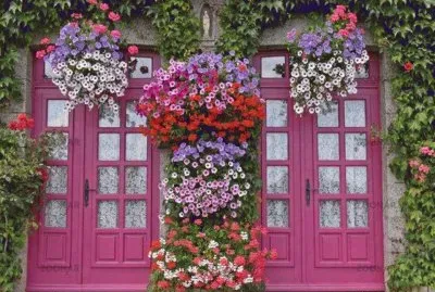 Natureza jigsaw puzzle