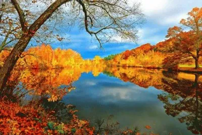 Natureza