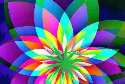 Amazing Colors