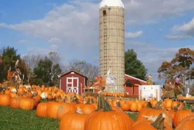 oct11